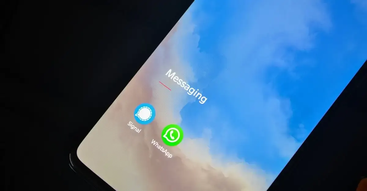 Sauvegarde discussion whatsapp